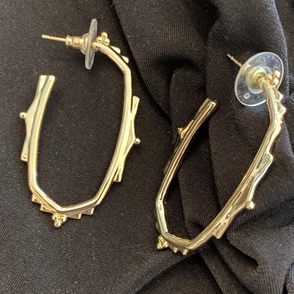 Kendra Scott earrings